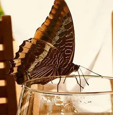 Ferienhaus Casa La Luna Cambrils